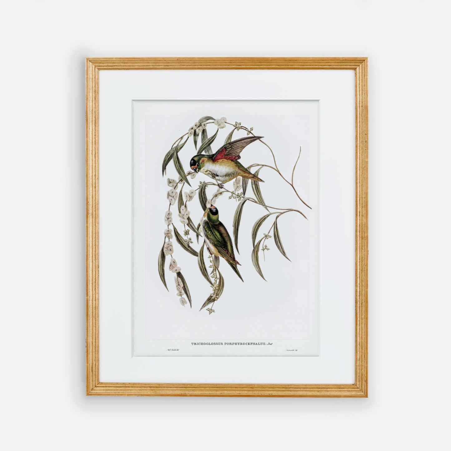 Vintage Bird Wall Art Print