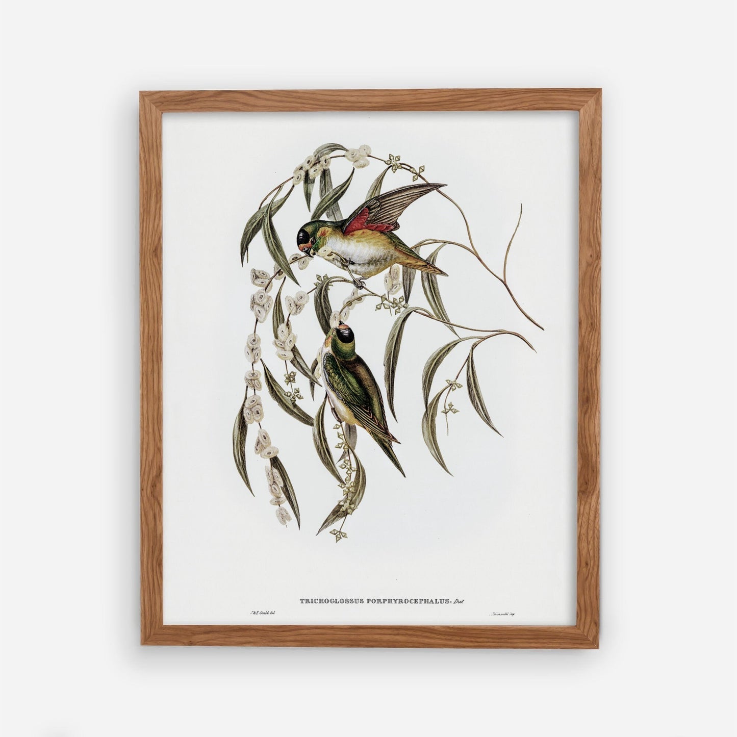 Vintage Bird Wall Art Print