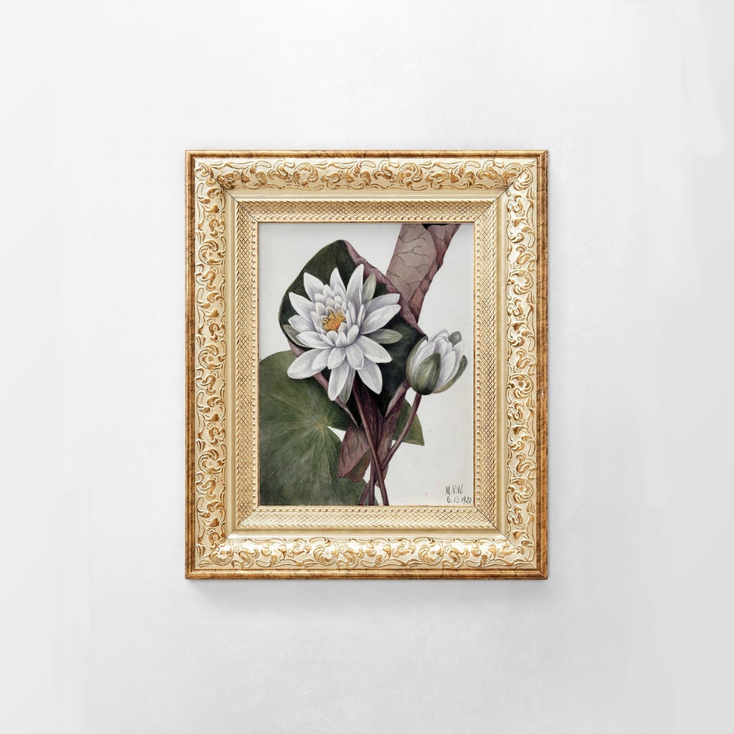 Printed Vintage Floral Plant Kitchen Wall Art