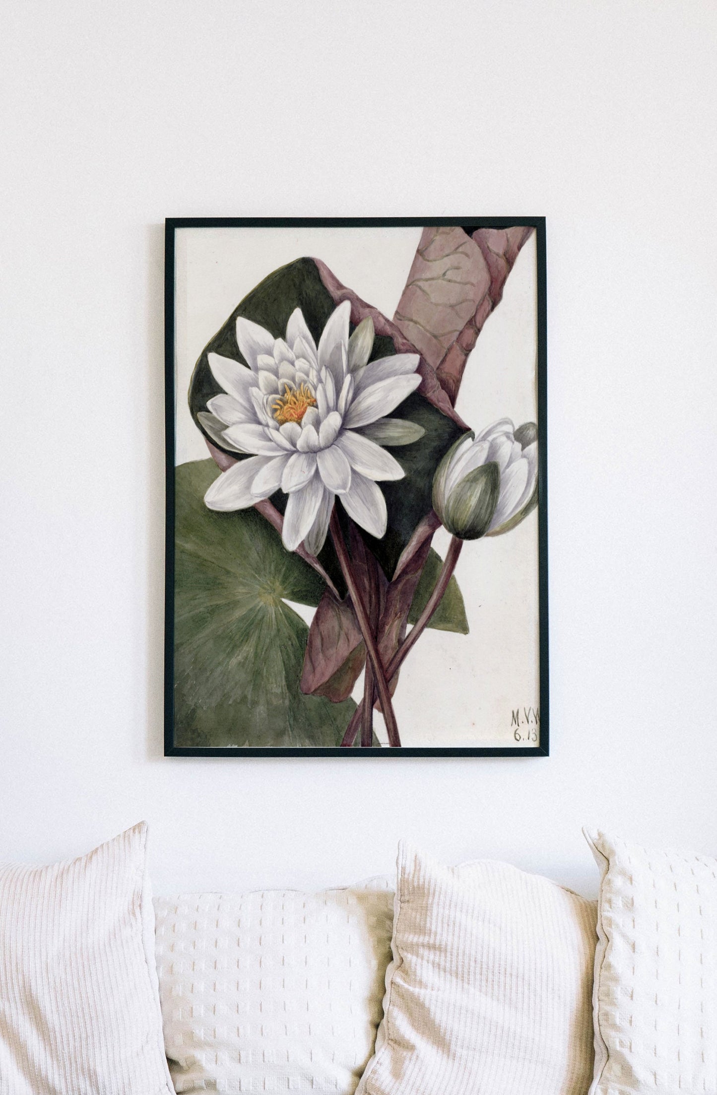 Printed Vintage Floral Plant Kitchen Wall Art