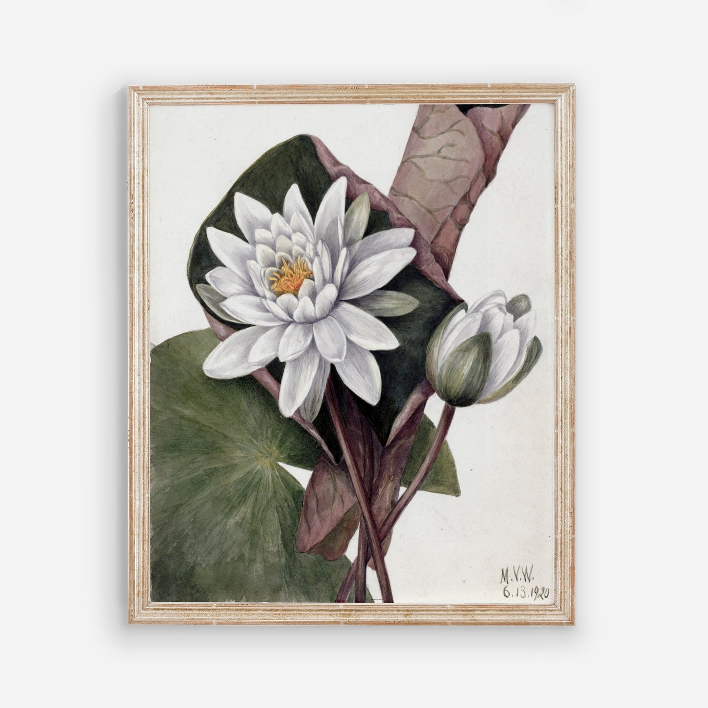 Printed Vintage Floral Plant Kitchen Wall Art