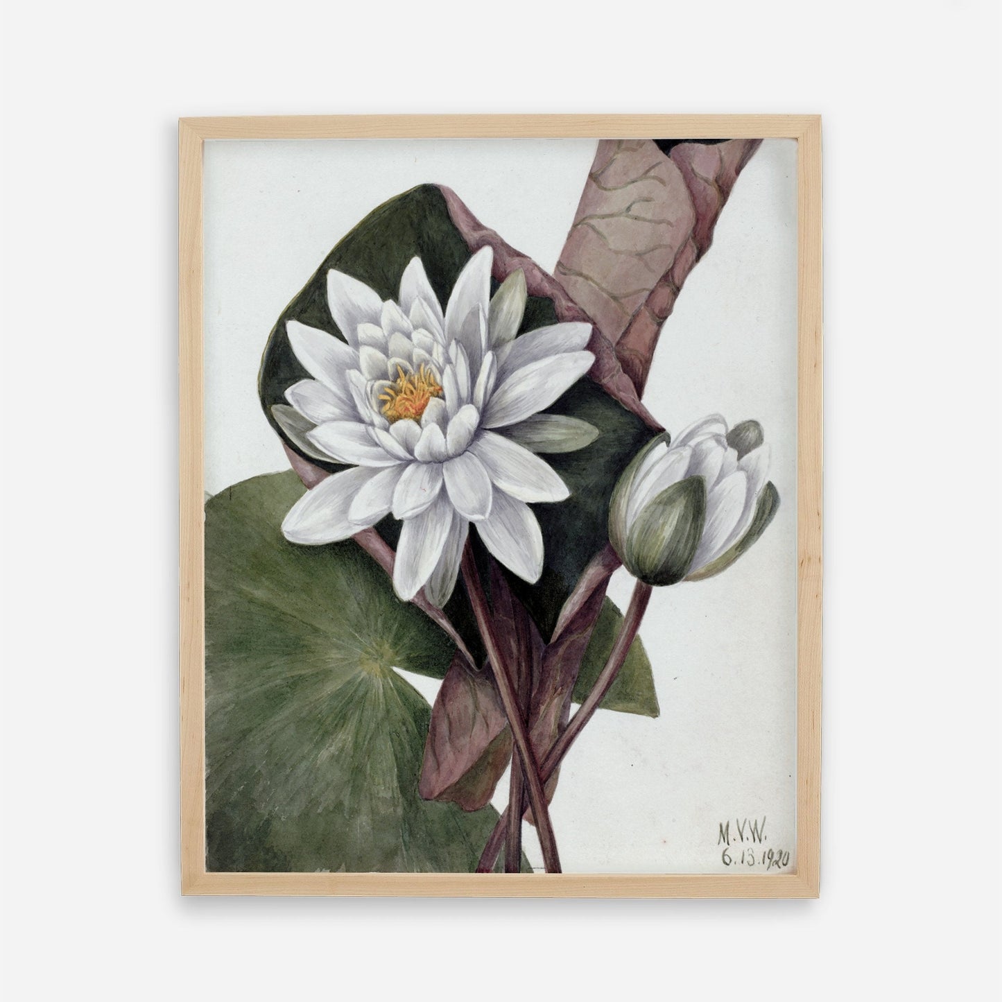 Printed Vintage Floral Plant Kitchen Wall Art