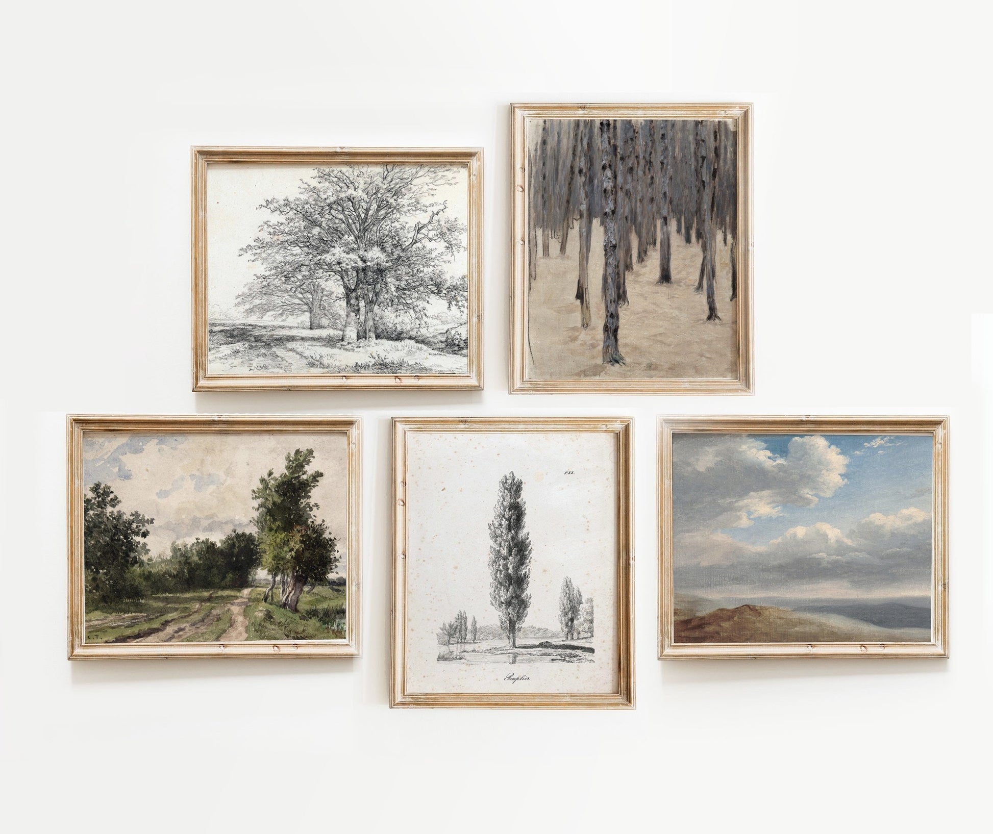 Vintage Printed Gallery Wall Art