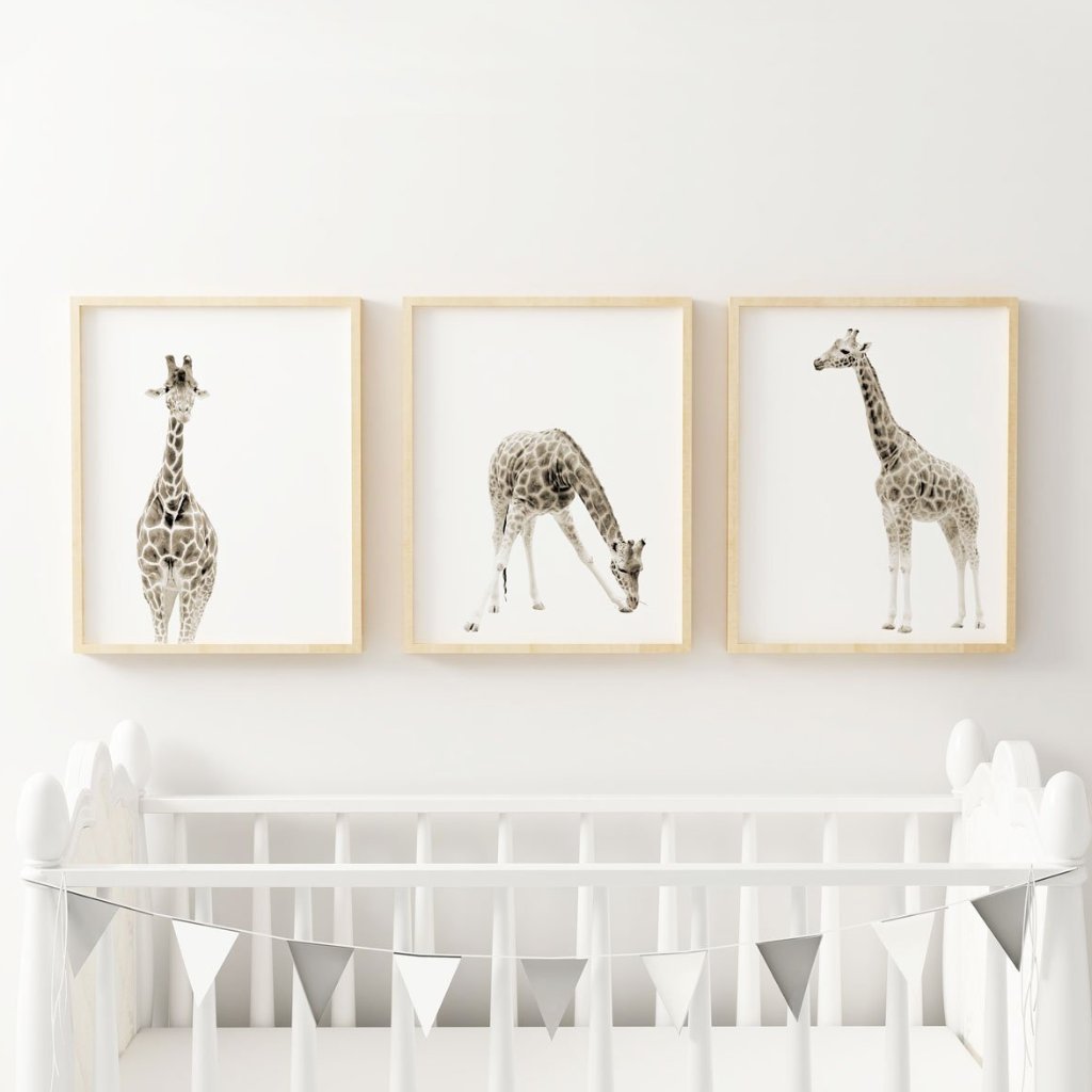 Giraffe set of three wall prints - Wall Prints