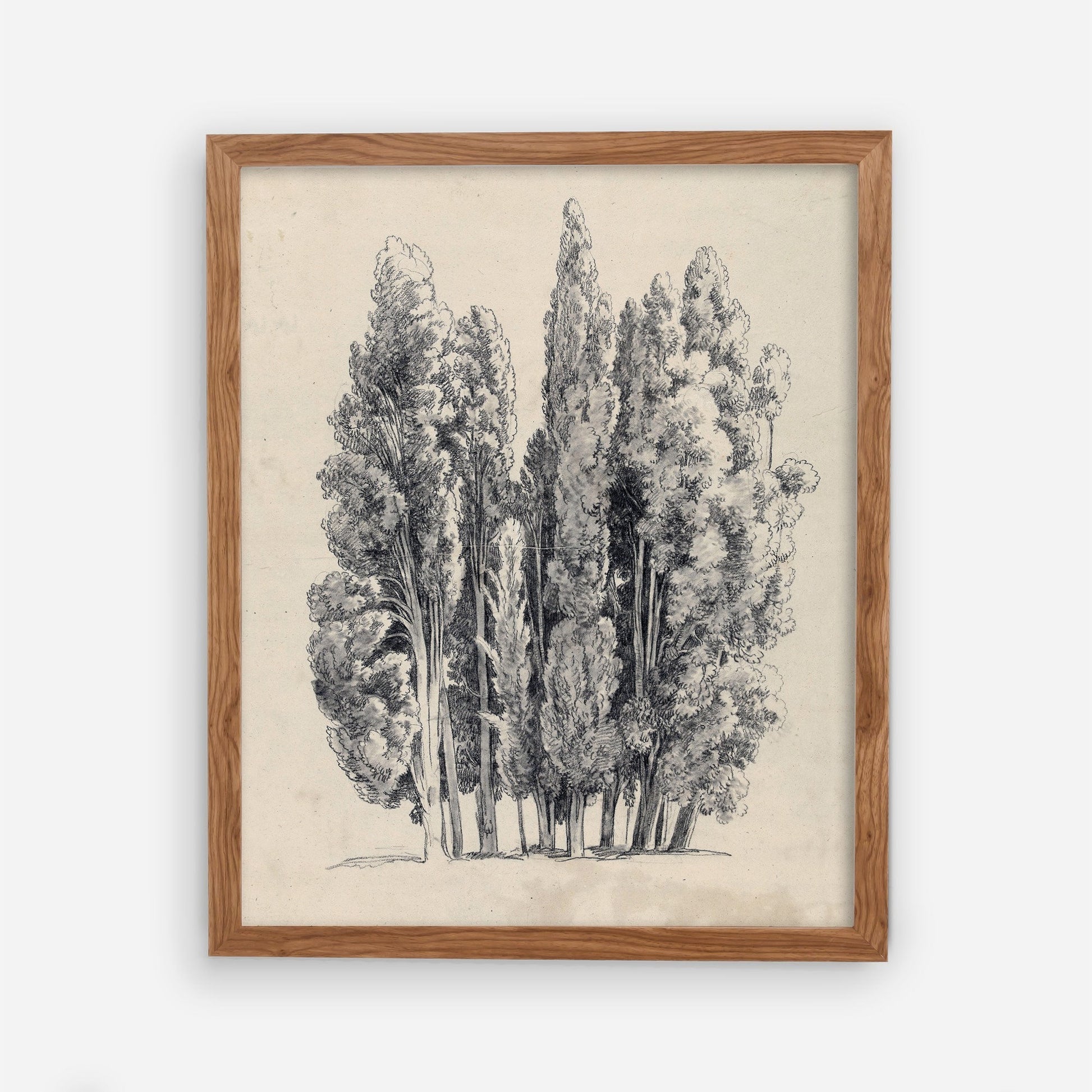 Tree Sketch Vintage Wall Art 