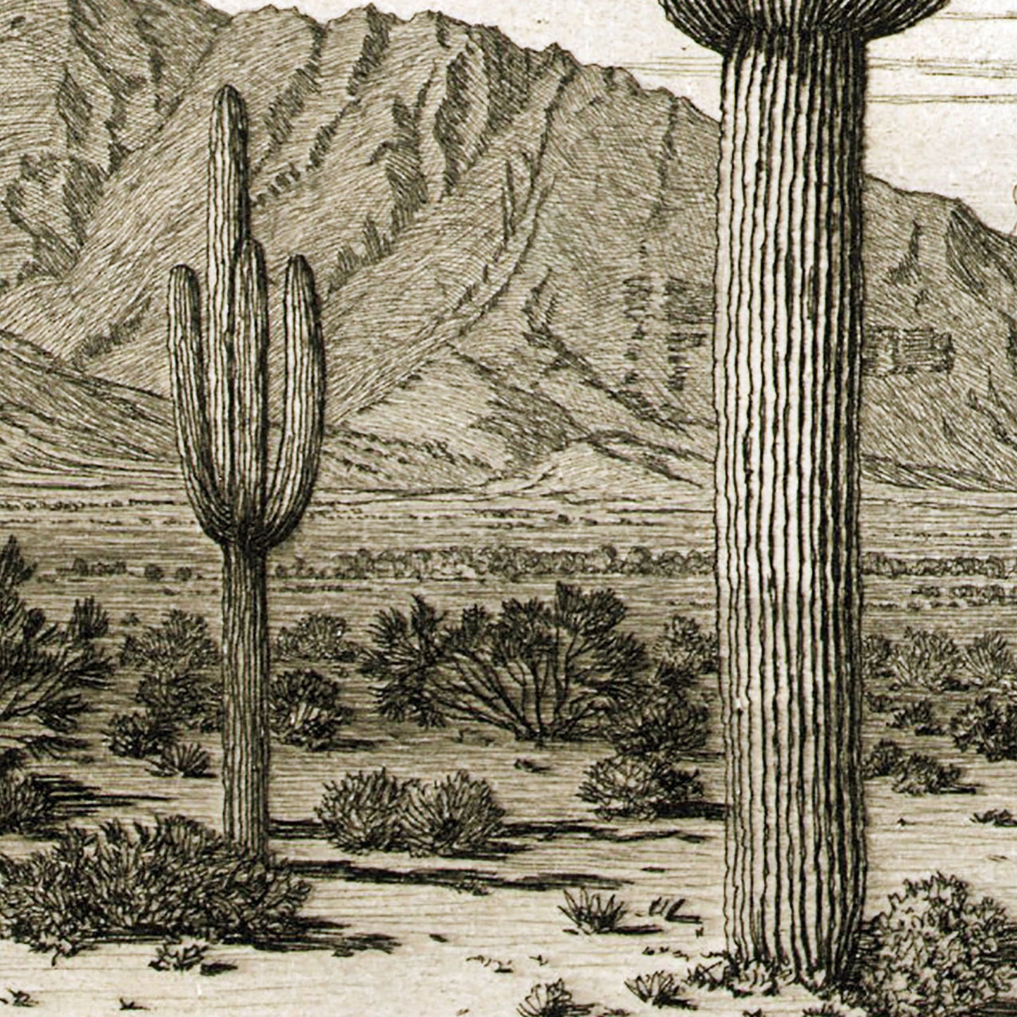 Cactus Southwest Desert Vintage Wall Art 