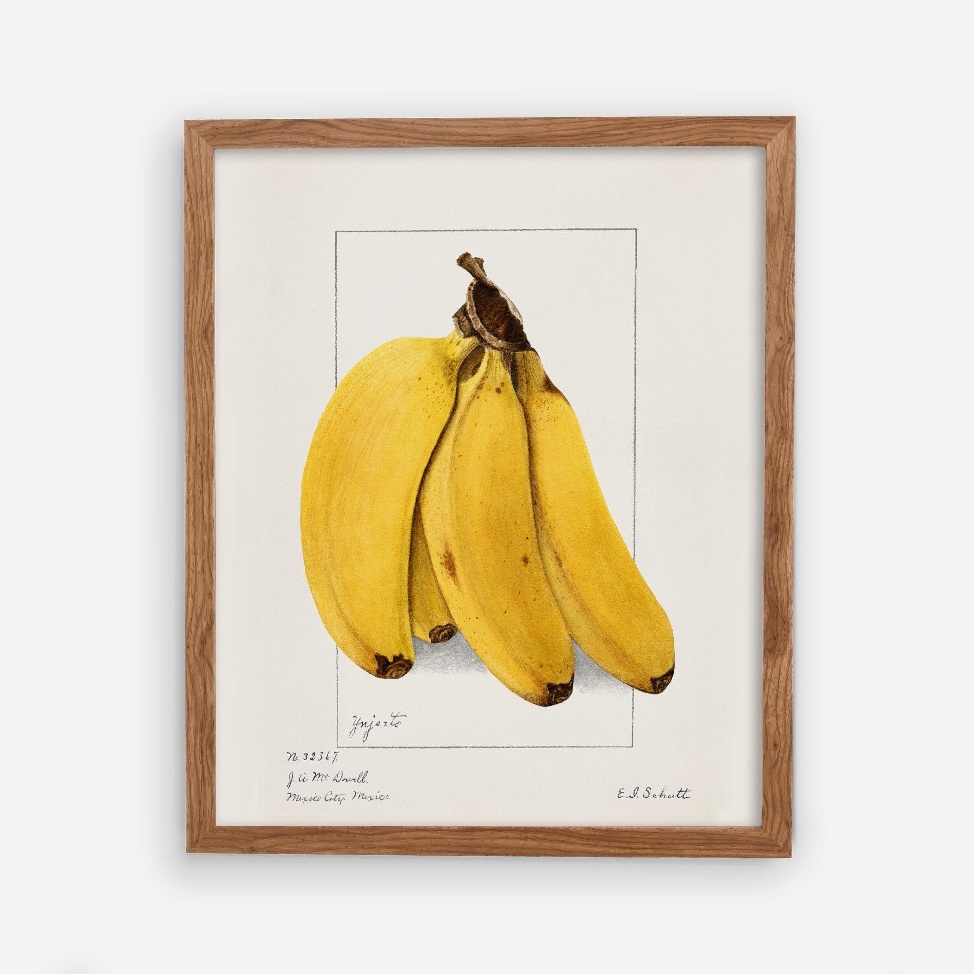 Image of a Bunch of Bananas. Drawing with Colored Pencils, Isolated on  White Background Stock Illustration - Illustration of snack, isolated:  143011472