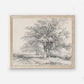 Vintage Tree Sketch Beige Art Print