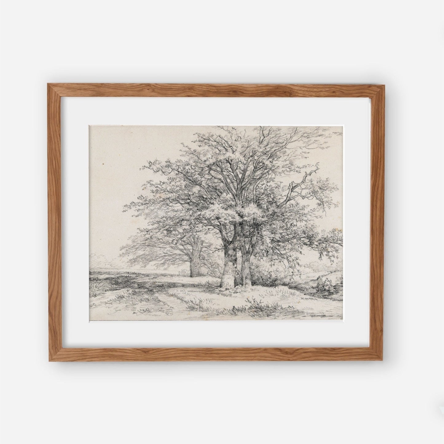 Vintage Tree Sketch Beige Art Print