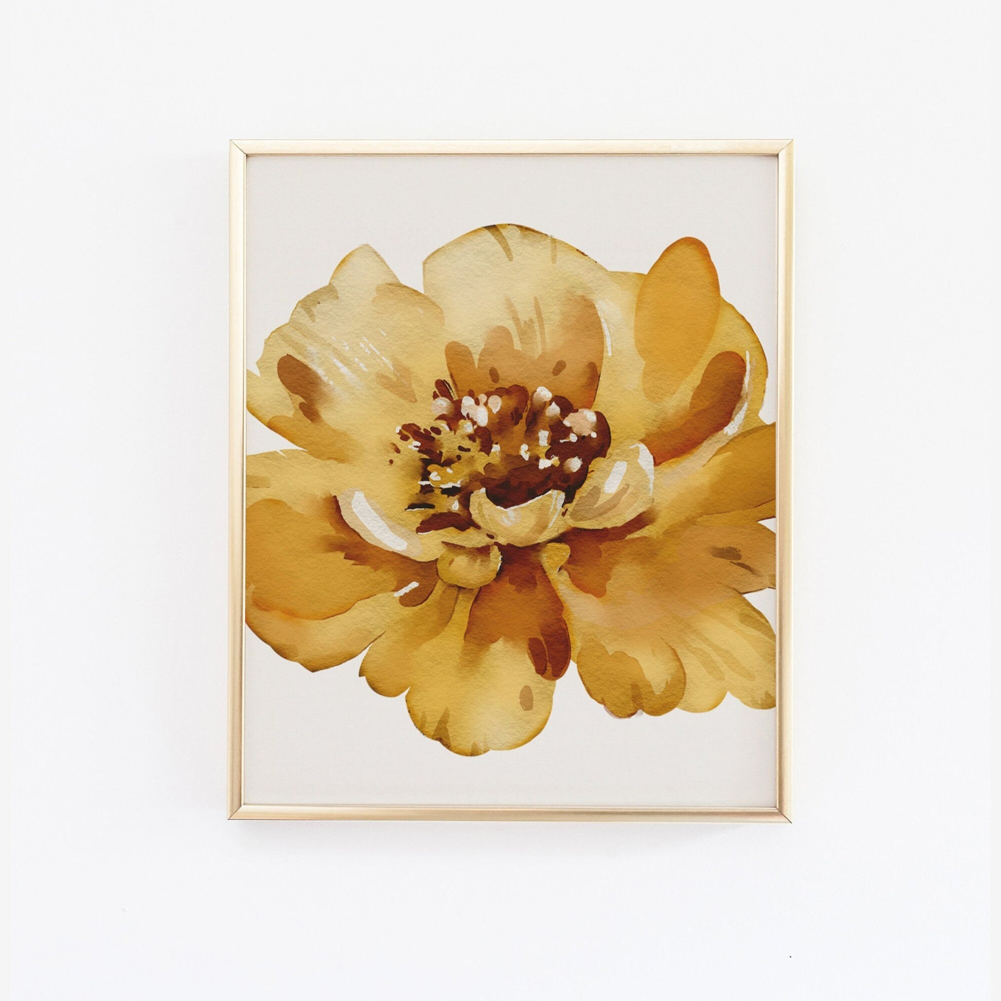 Botanical Floral Illustrated Wall Art