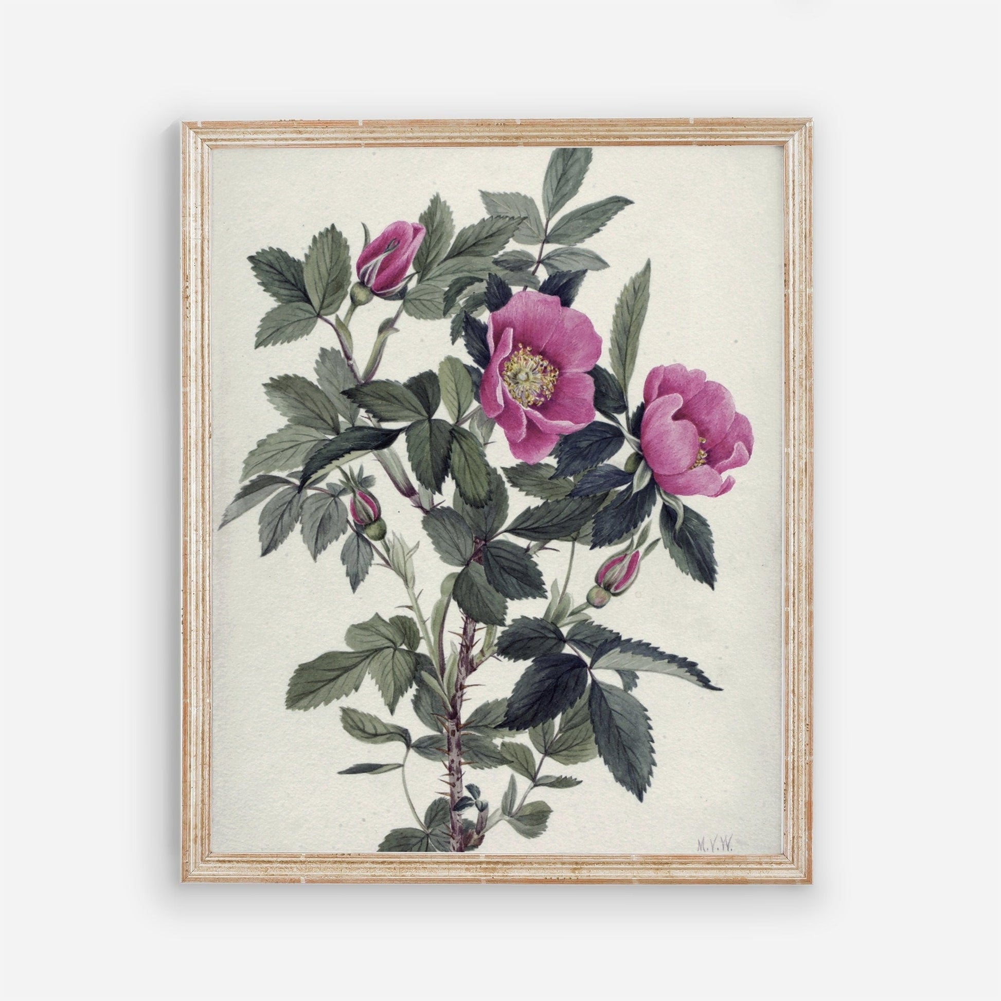 Printed Vintage Floral Plant Kitchen Wall Art 