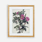 Printed Vintage Floral Plant Kitchen Wall Art 